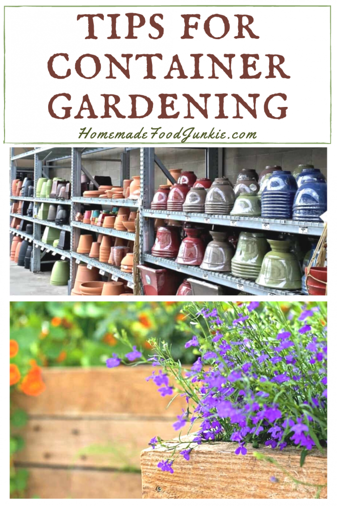 Tips for container gardening-pin image