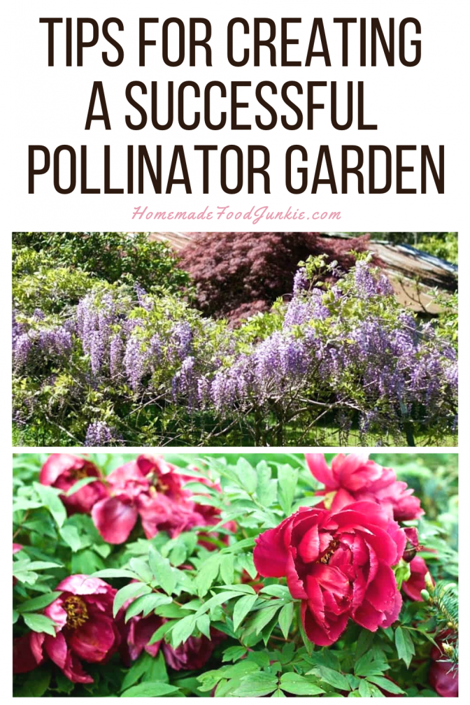 Tips for creating a successful pollinator garden-pin image