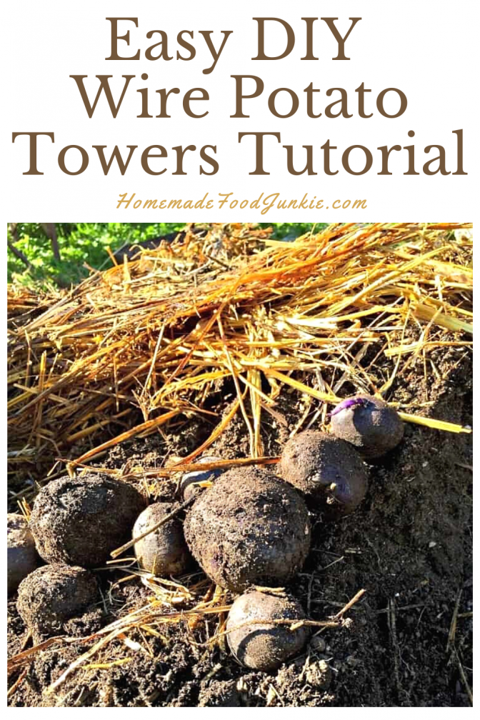 Easy DIY wire potato towers tutorial-pin image