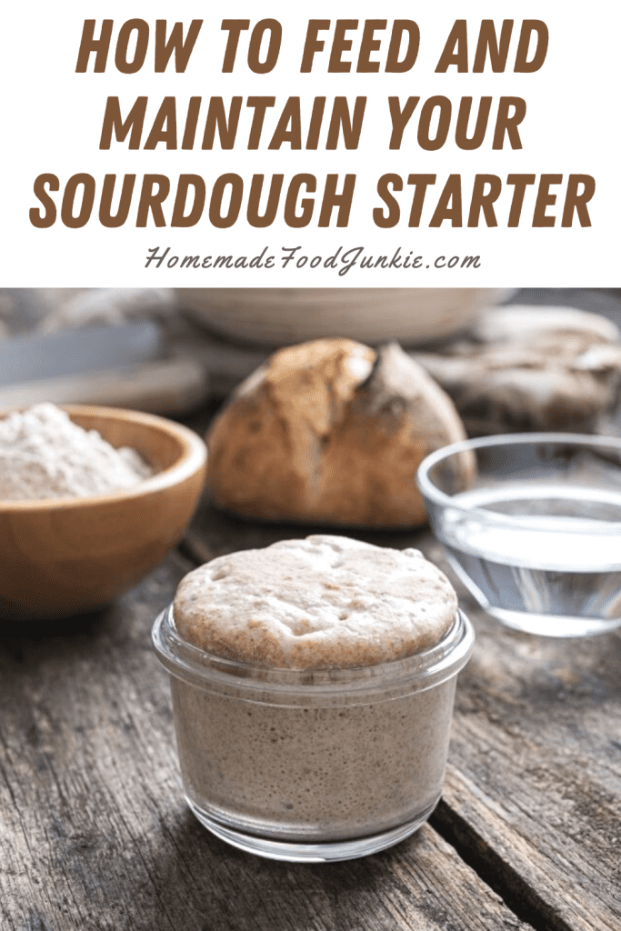 How to feed and maintain your sourdough starter-pin image