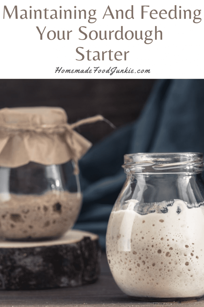 Maintaining and feeding your sourdough starter-pin image