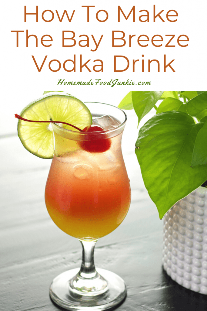 How to make the bay breeze vodka drink-pin image
