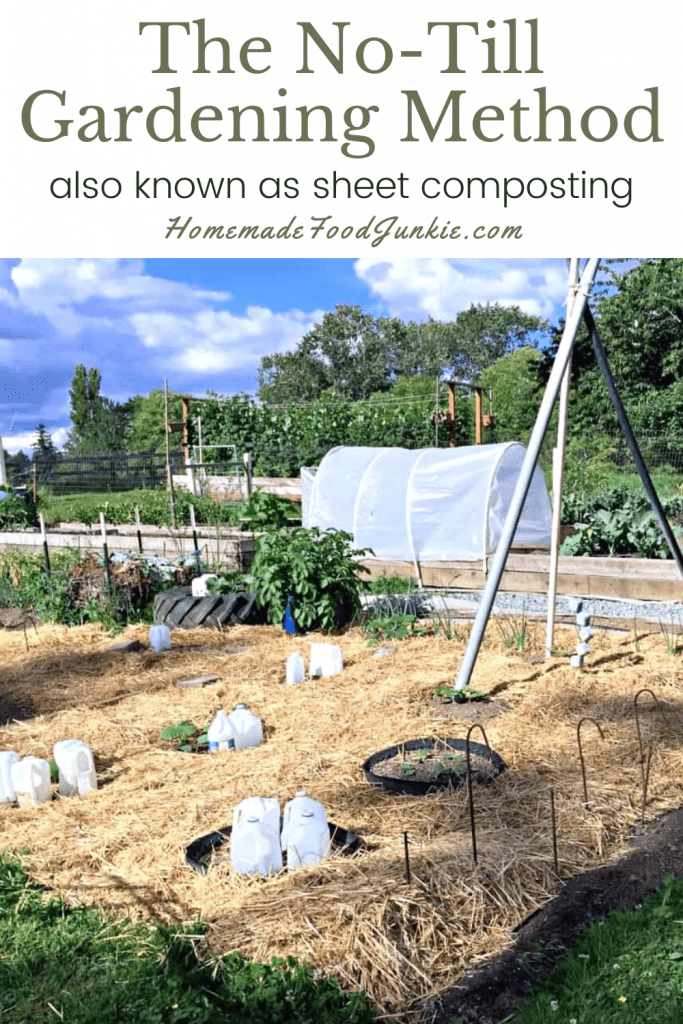 The no-till gardening method-pin image