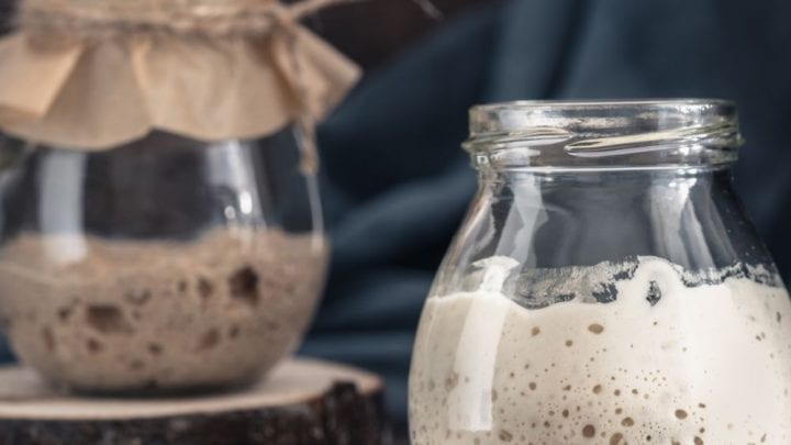 Sourdough starters with flour and rye