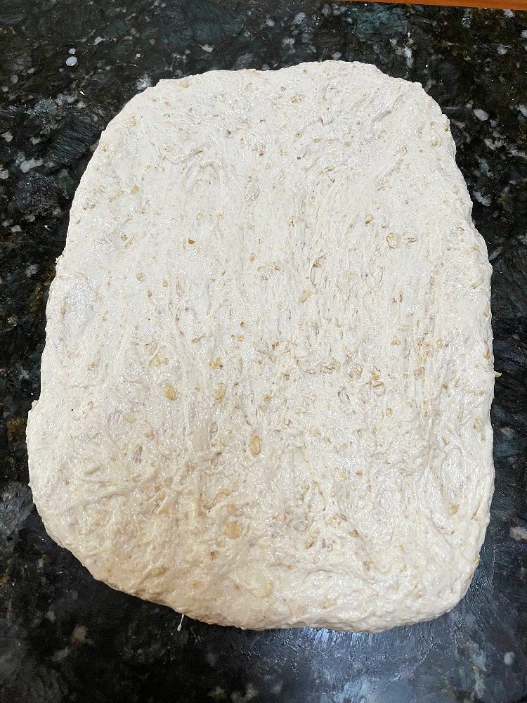 degas dough and make a rectangle-loaf pan