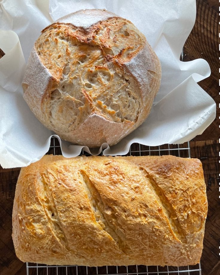 sourdough oatmeal bread boule and loaf e1613328133767