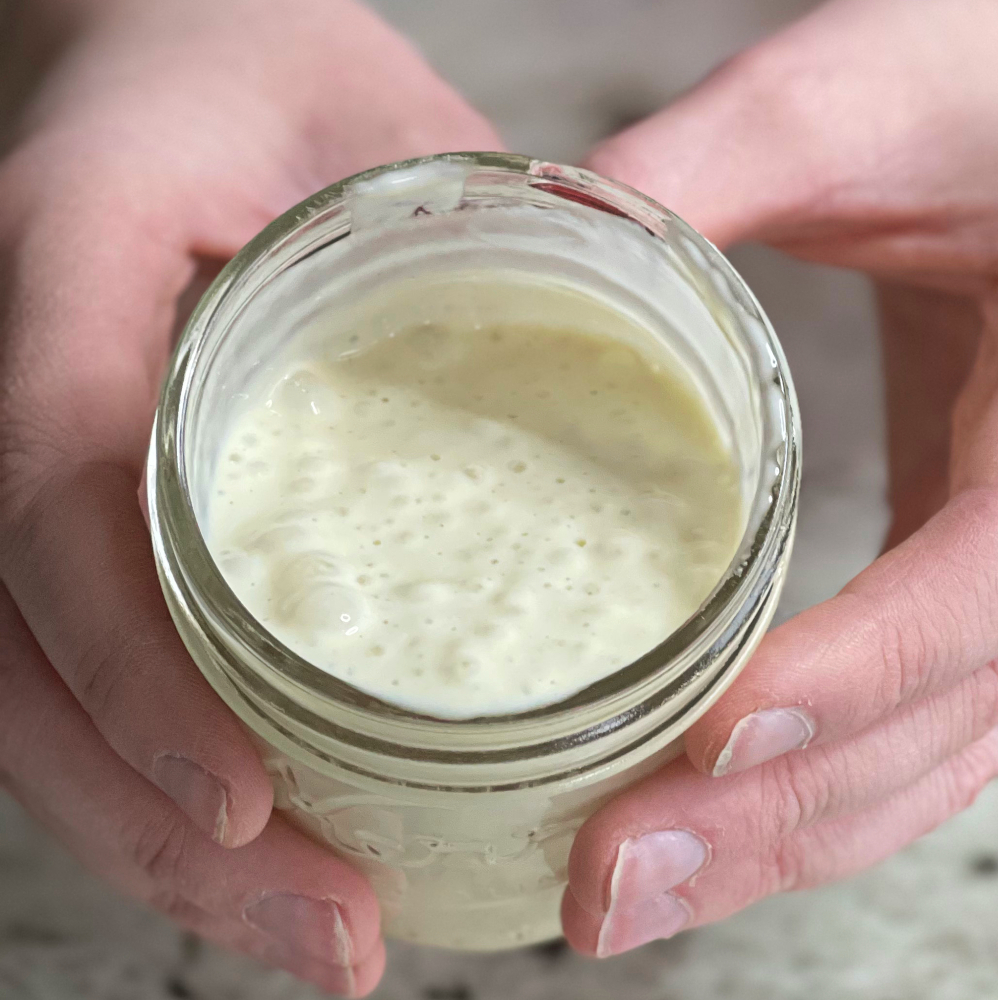 sourdough starter