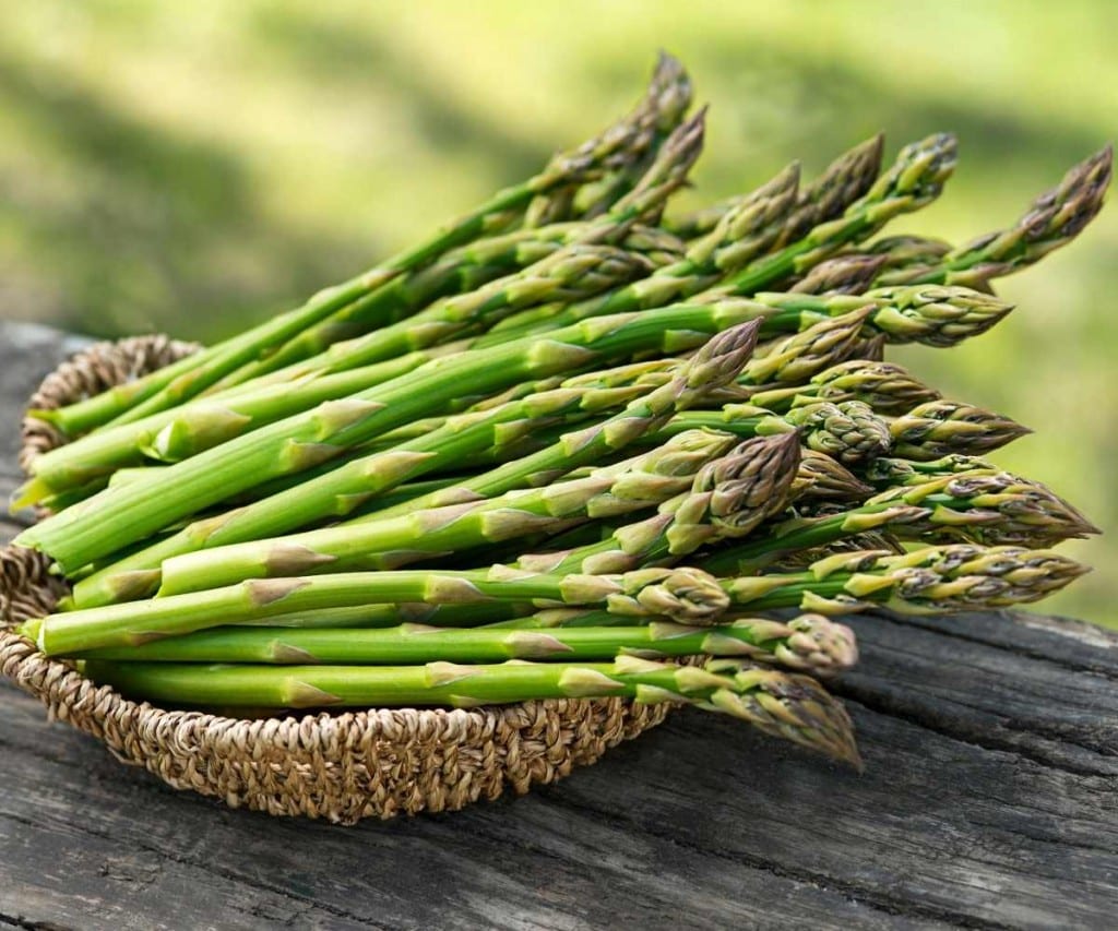 garden fresh asparagus