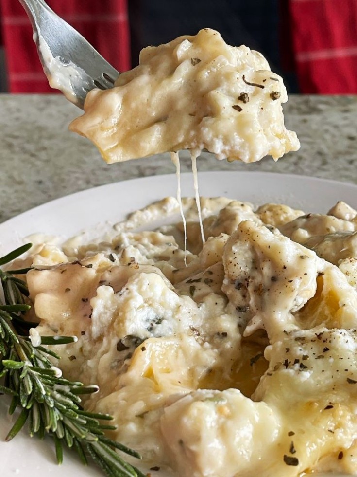 chicken lasagna 2 rotated e1619490026772