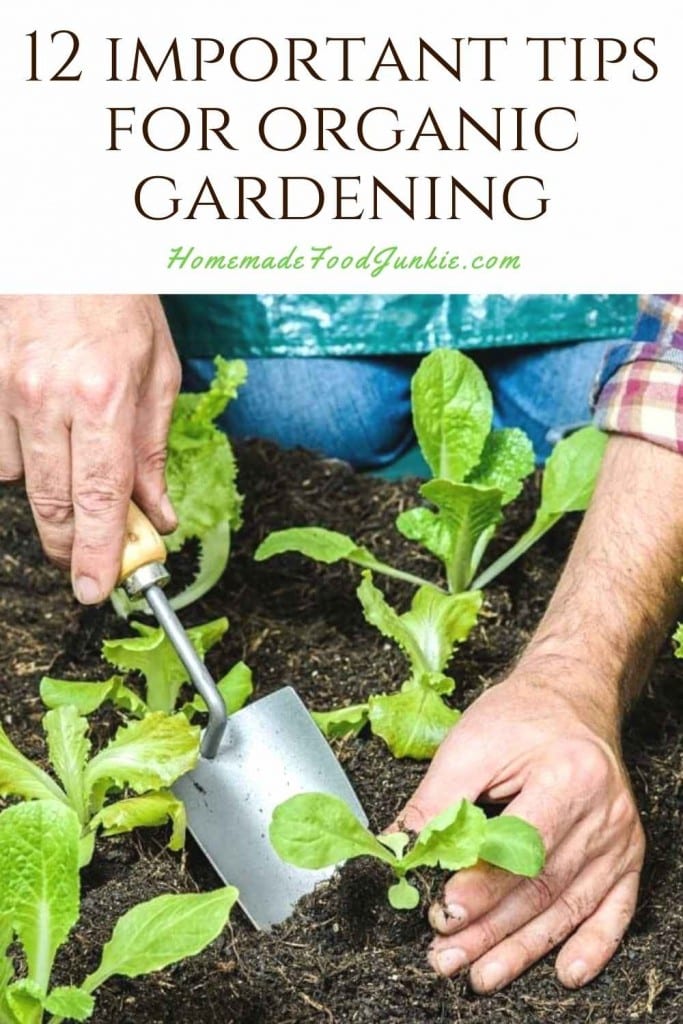 12 important tips for organic gardening-pin image