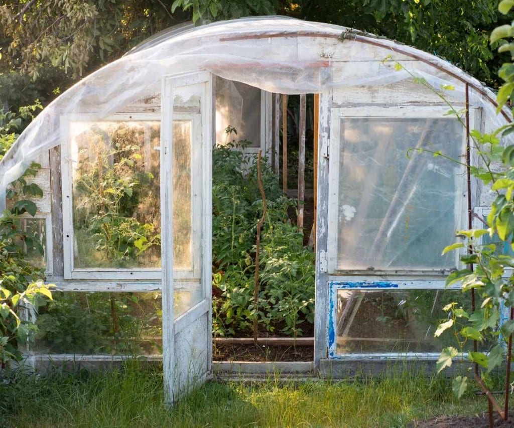 greenhouse plastic