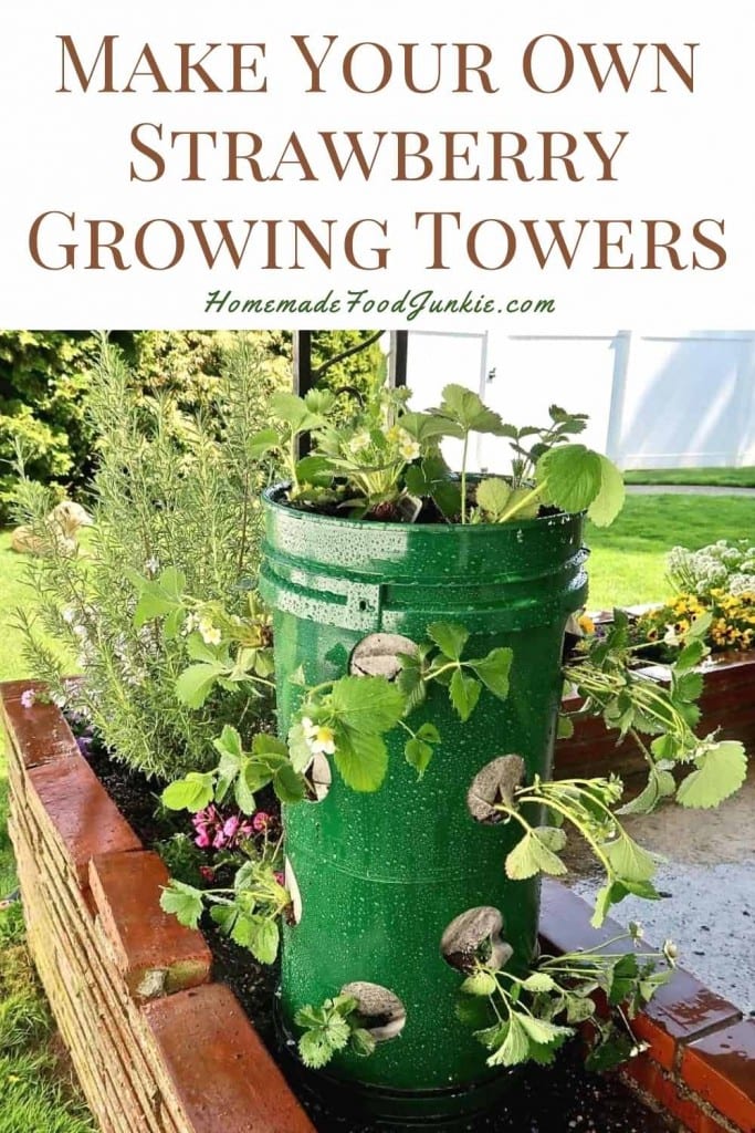 Make your own strawberry growing towers-pin image