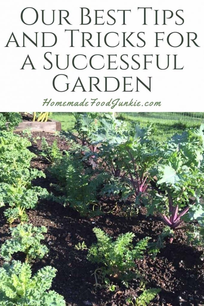 Our best tips and tricks for a successful garden-pin image