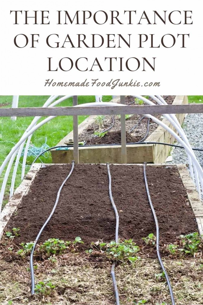 The importance of garden plot location-pin image