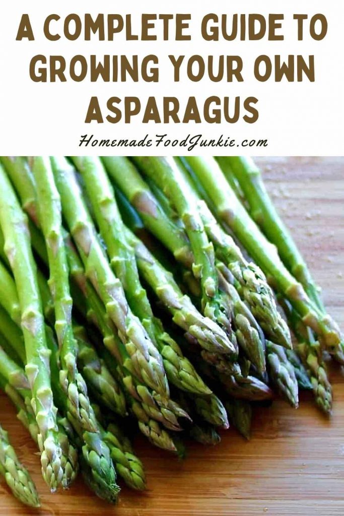A complete guide to growing your own asparagus-pin image