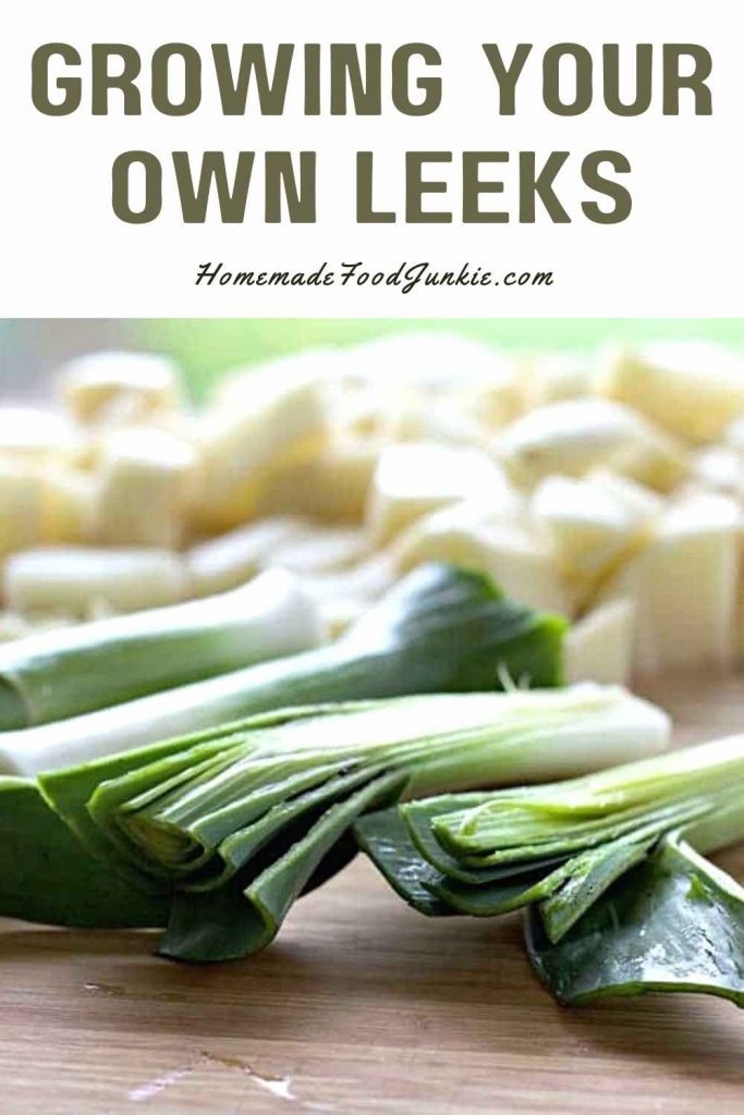 Grow Healthy Leeks easily in your Garden 11 Growing your own leeks-pin image
