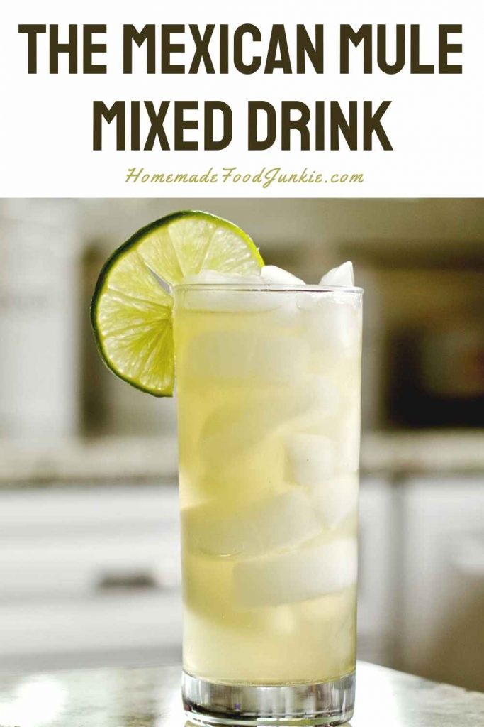 The mexican mule mixed drink-pin image
