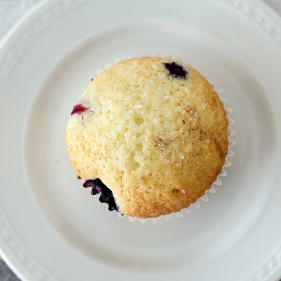 buttermilk blueberry muffin-top view