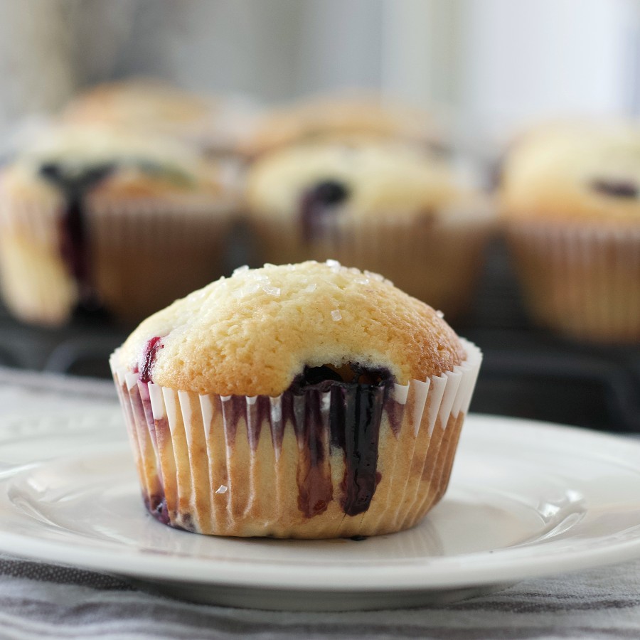 buttermilk blueberry muffins
