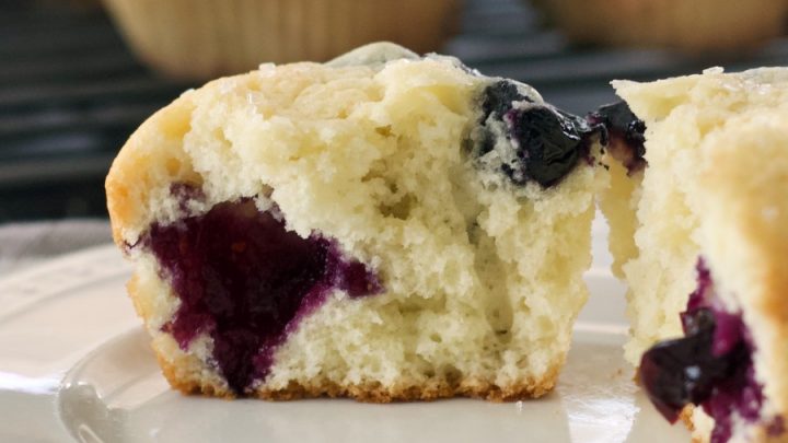 buttermilk blueberry muffin cut open on plate