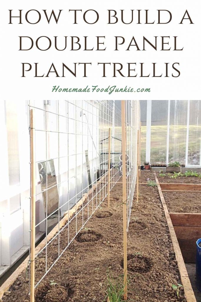 How to build a double panel plant trellis-pin image