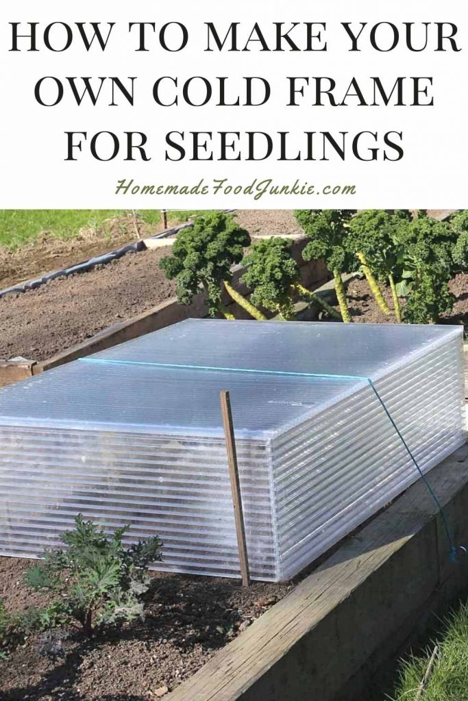 Making Cold Frames for Seedlings 4 How to make your own cold frame for seedlings-pin image
