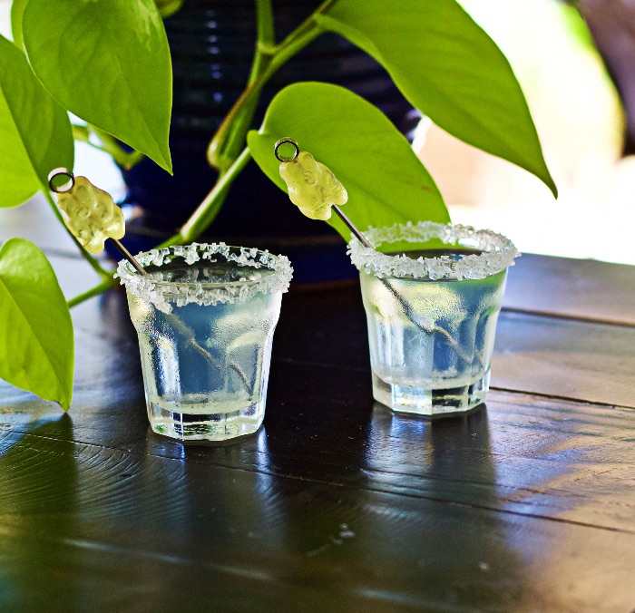 white gummy bear shots