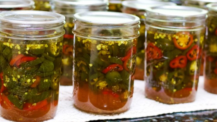 row of canned candied jalape&ntilde;o