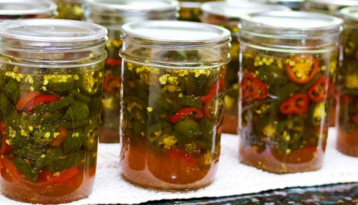 canned candied jalapenos