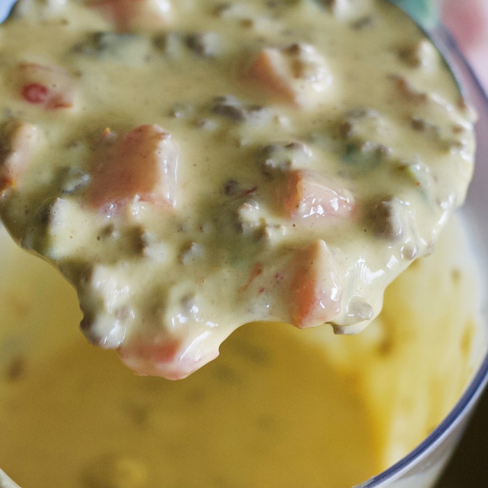 Velveeta cheese dip 1