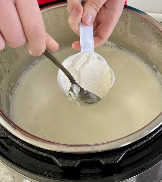 adding yogurt starter