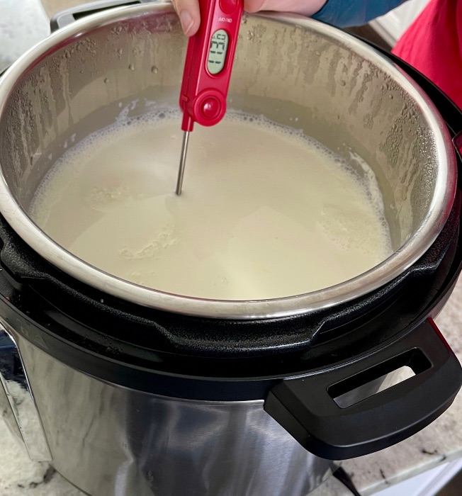 measuring temperature of milk