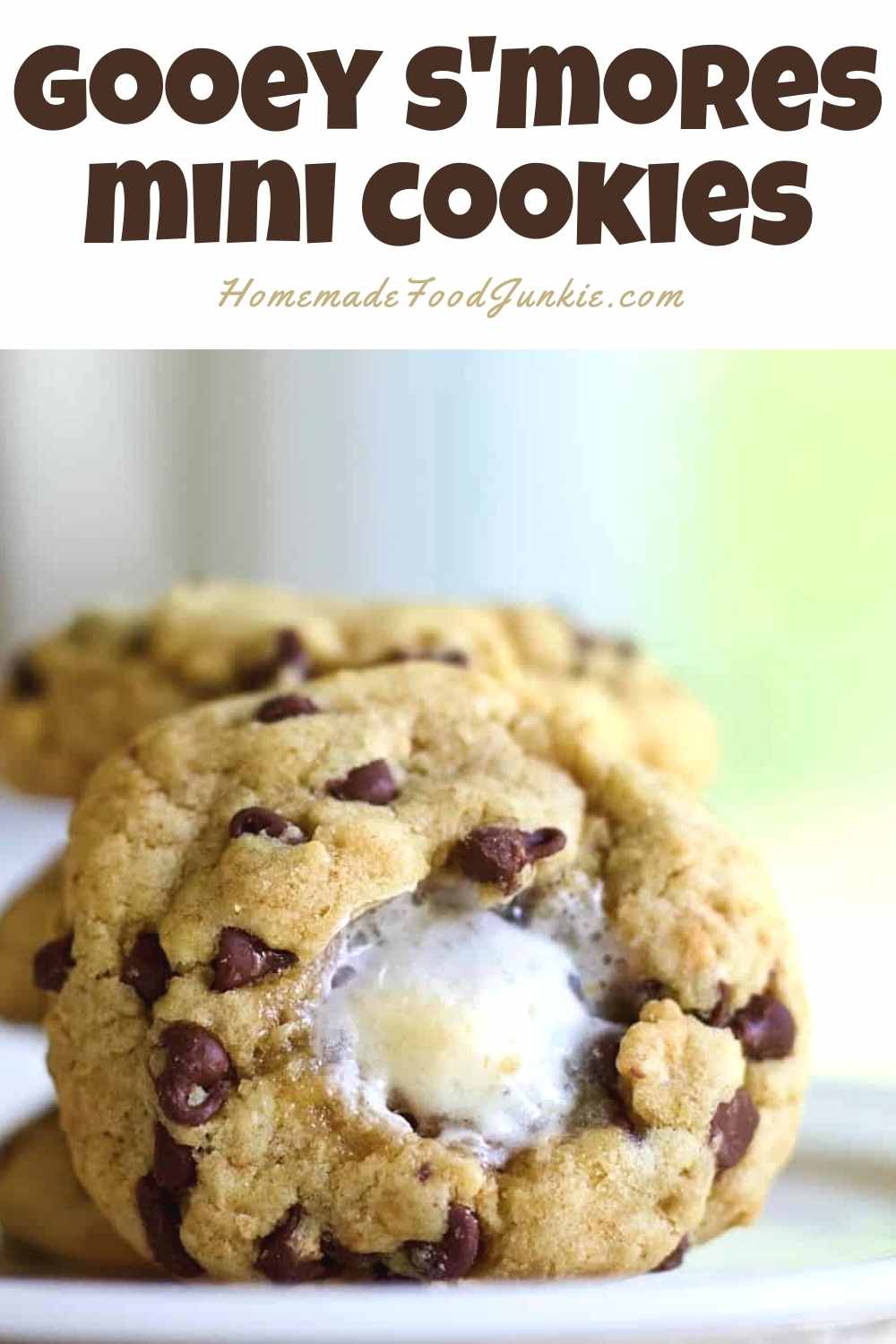 gooey s'mores mini cookies-pin image