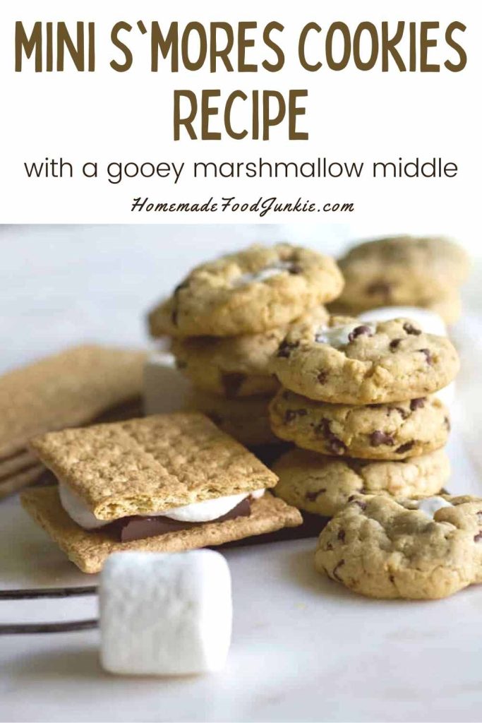 mini s'mores cookies-pin image