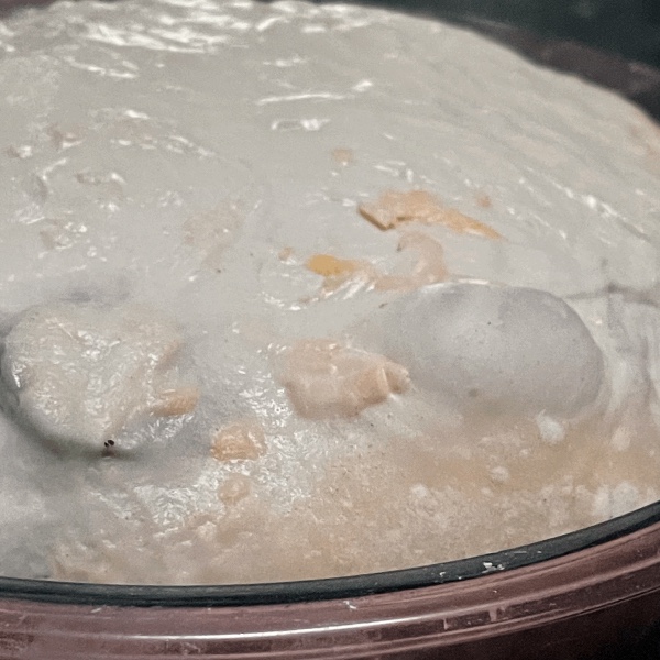 Jalape&ntilde;o cheese bread dough development at 19 hour LCR