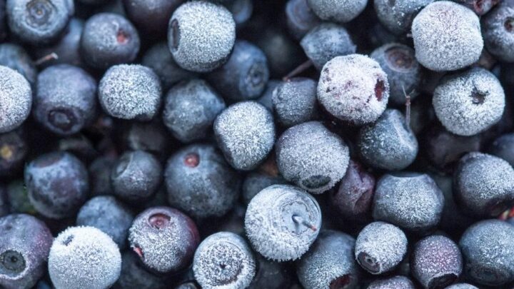 frozen blueberries