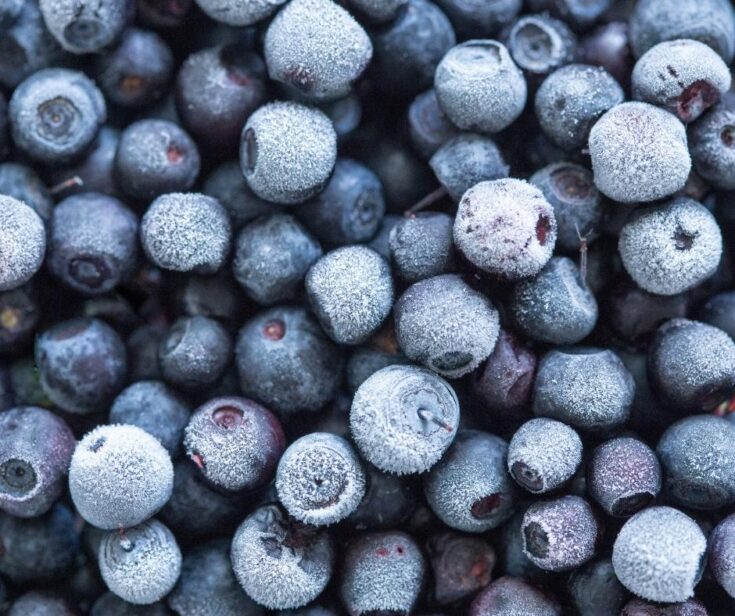 frozen blueberries