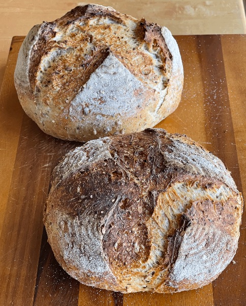 sourdough multigrain bread
