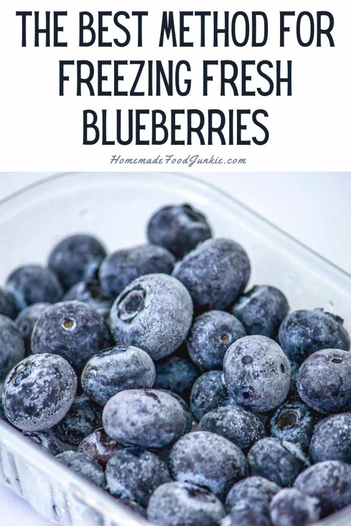 the best method for freezing fresh blueberries-pin image