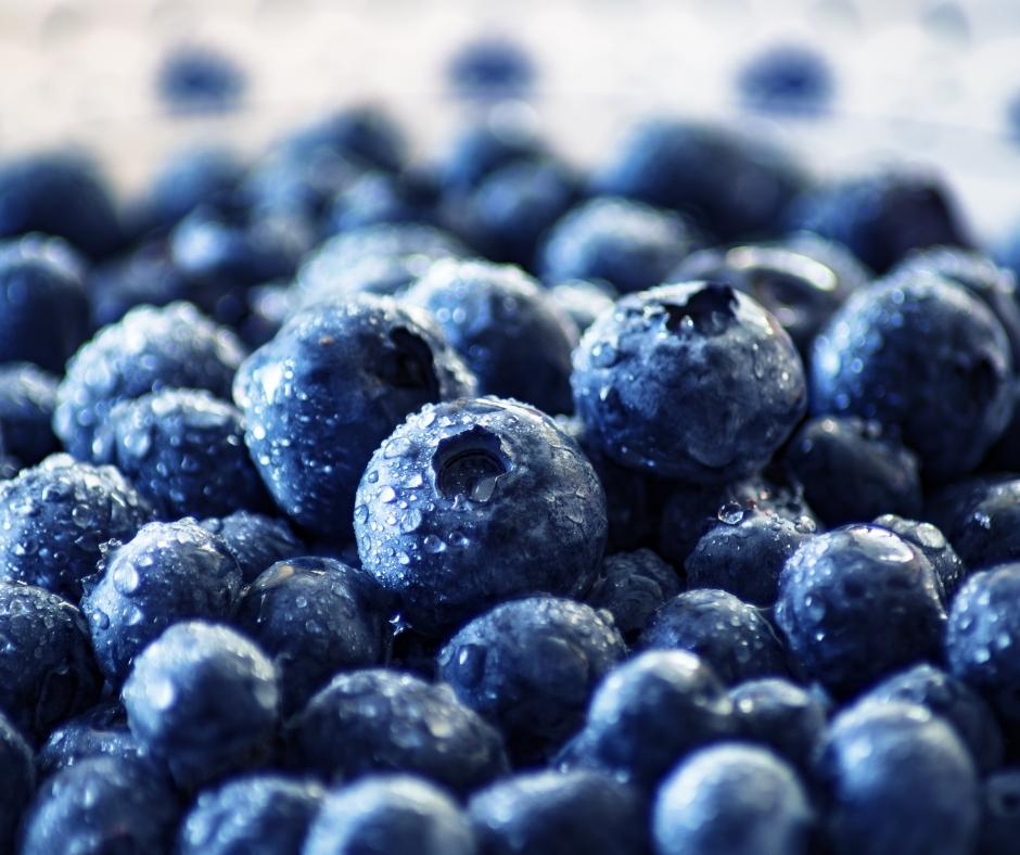 wet blueberries