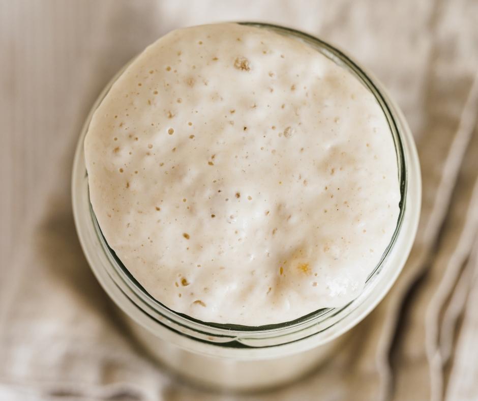 sourdough starter