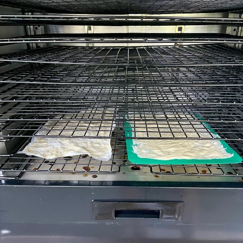 drying sourdough starter in food dehydrator