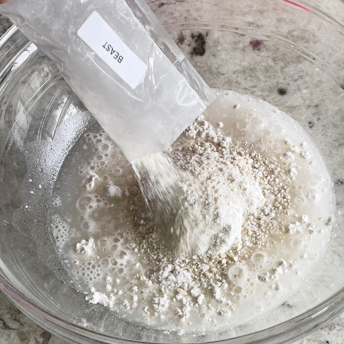 reviving dried sourdough starter