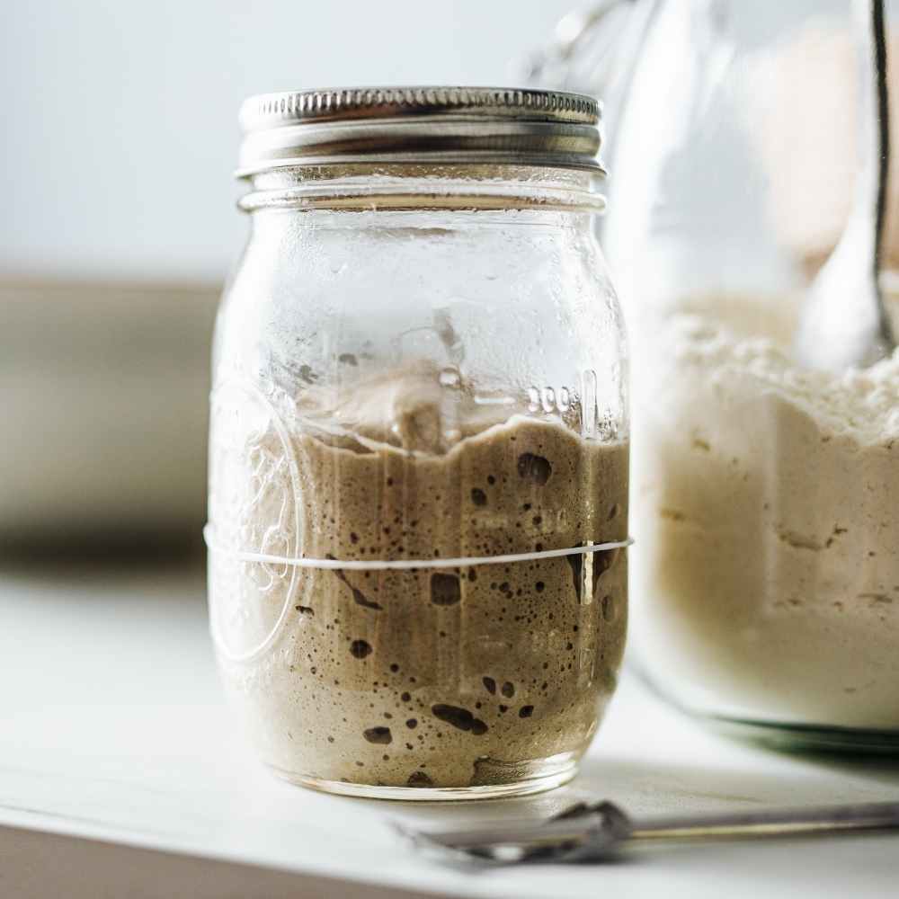 doubled sourdough starter is ready to use