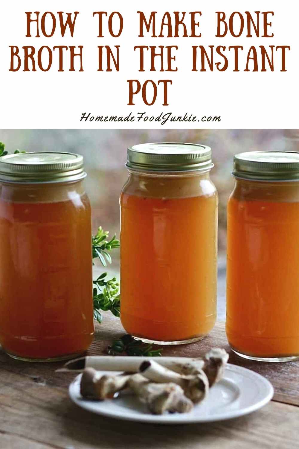 homemade bone broth in the instant pot-pin image