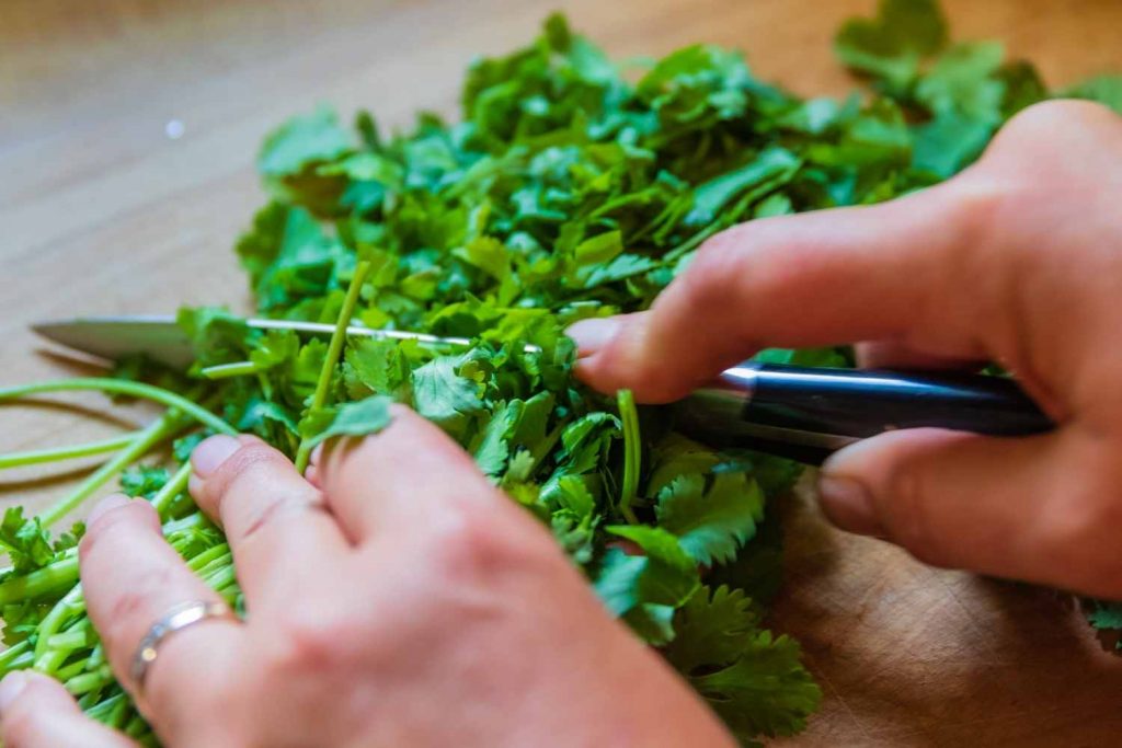 preparing herbs to be frozen