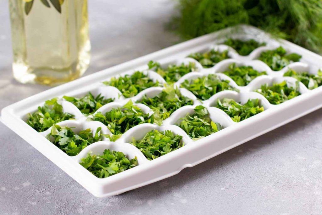 chopped herb leaves in ice cube tray