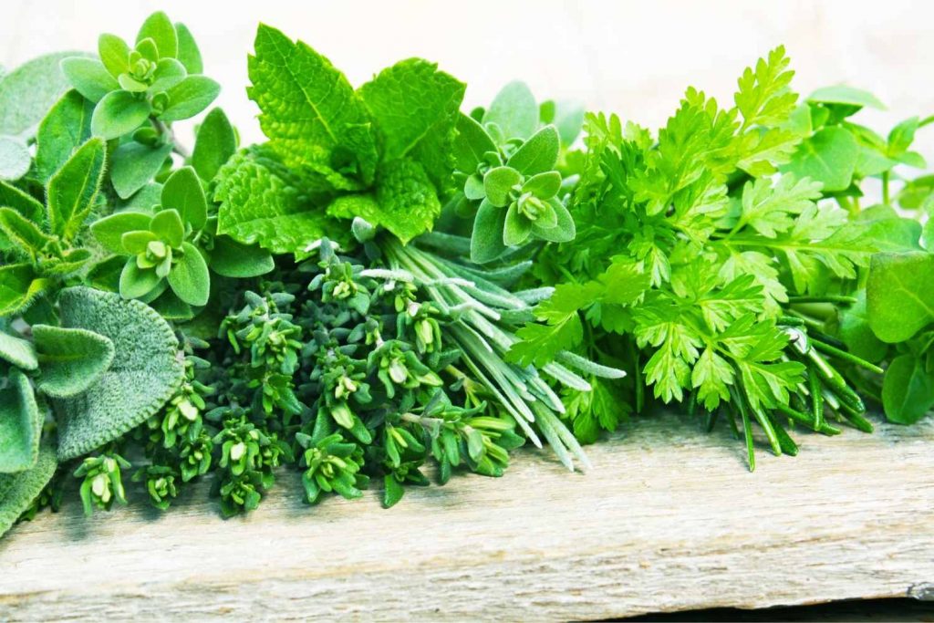 fresh herbs can be frozen in several ways.