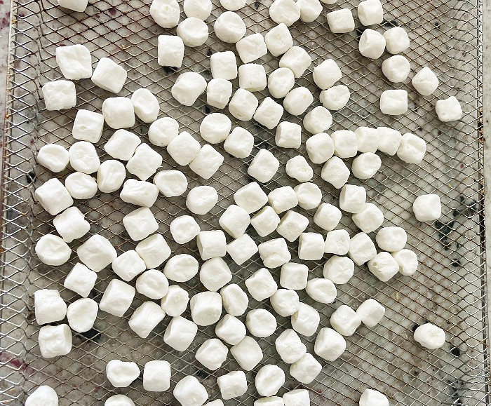 marshmallows on a drying rack