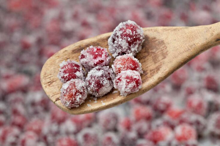 sugared cranberries 4